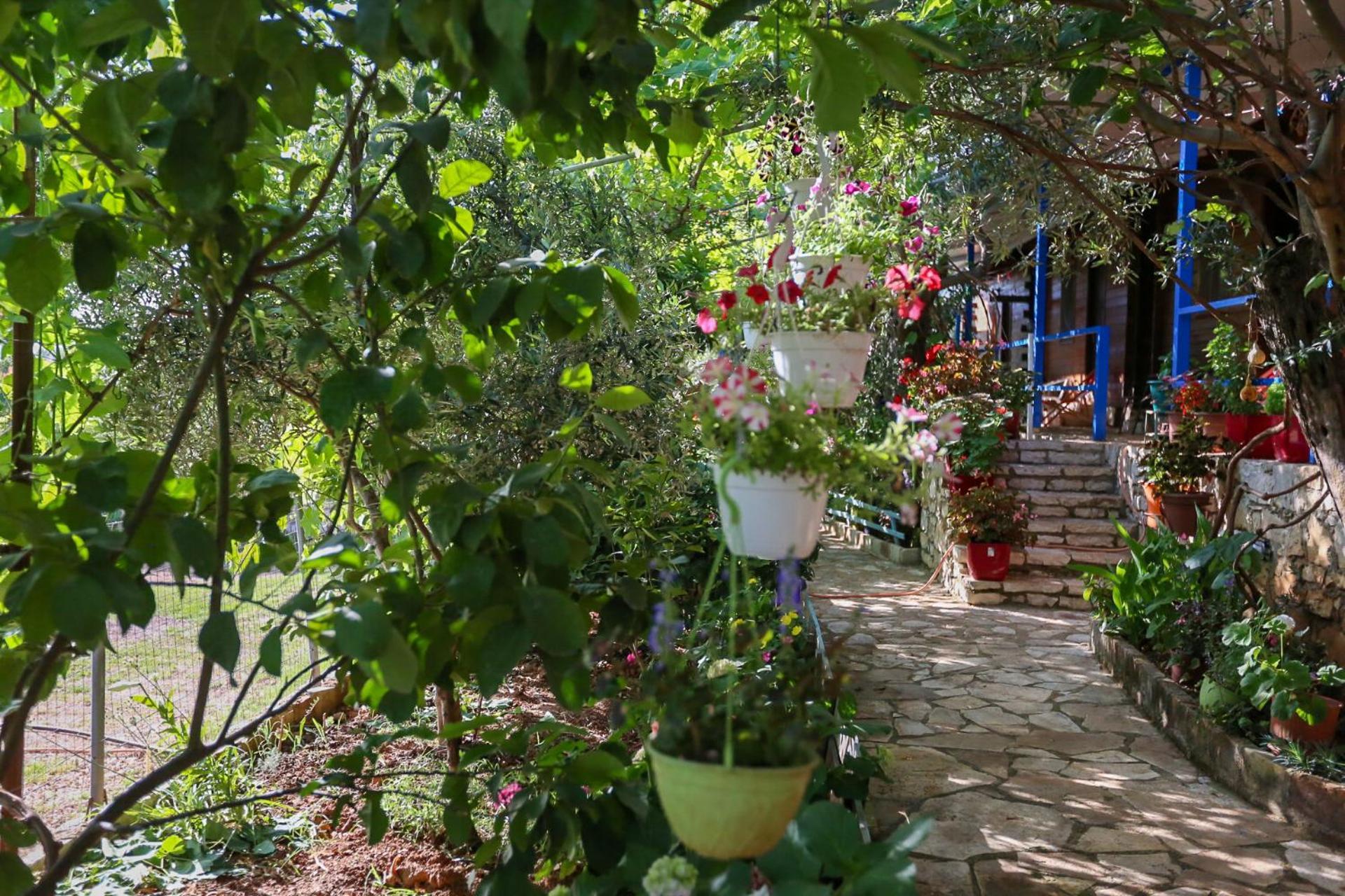 Holiwood Motel Himarë Eksteriør billede