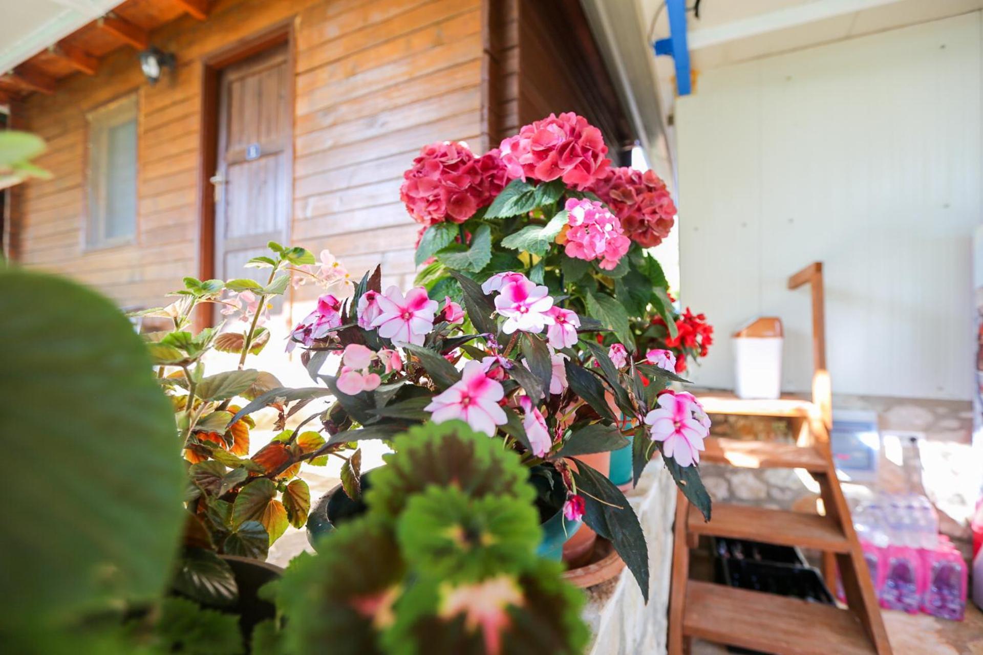 Holiwood Motel Himarë Eksteriør billede